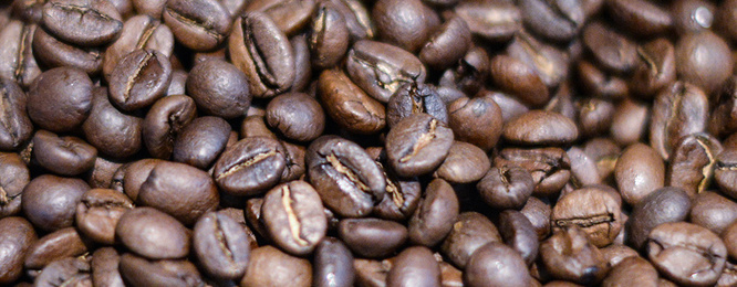 Kaffee­maschinen bei Elektro Elsässer in Jossgrund